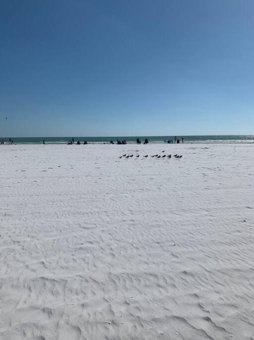 사라소타 Rowena House 2Bd Den 2Bth Heated Pool Near Siesta Key 빌라 외부 사진